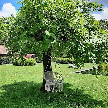 B&B De Levensboom Tessenderlo Εξωτερικό φωτογραφία
